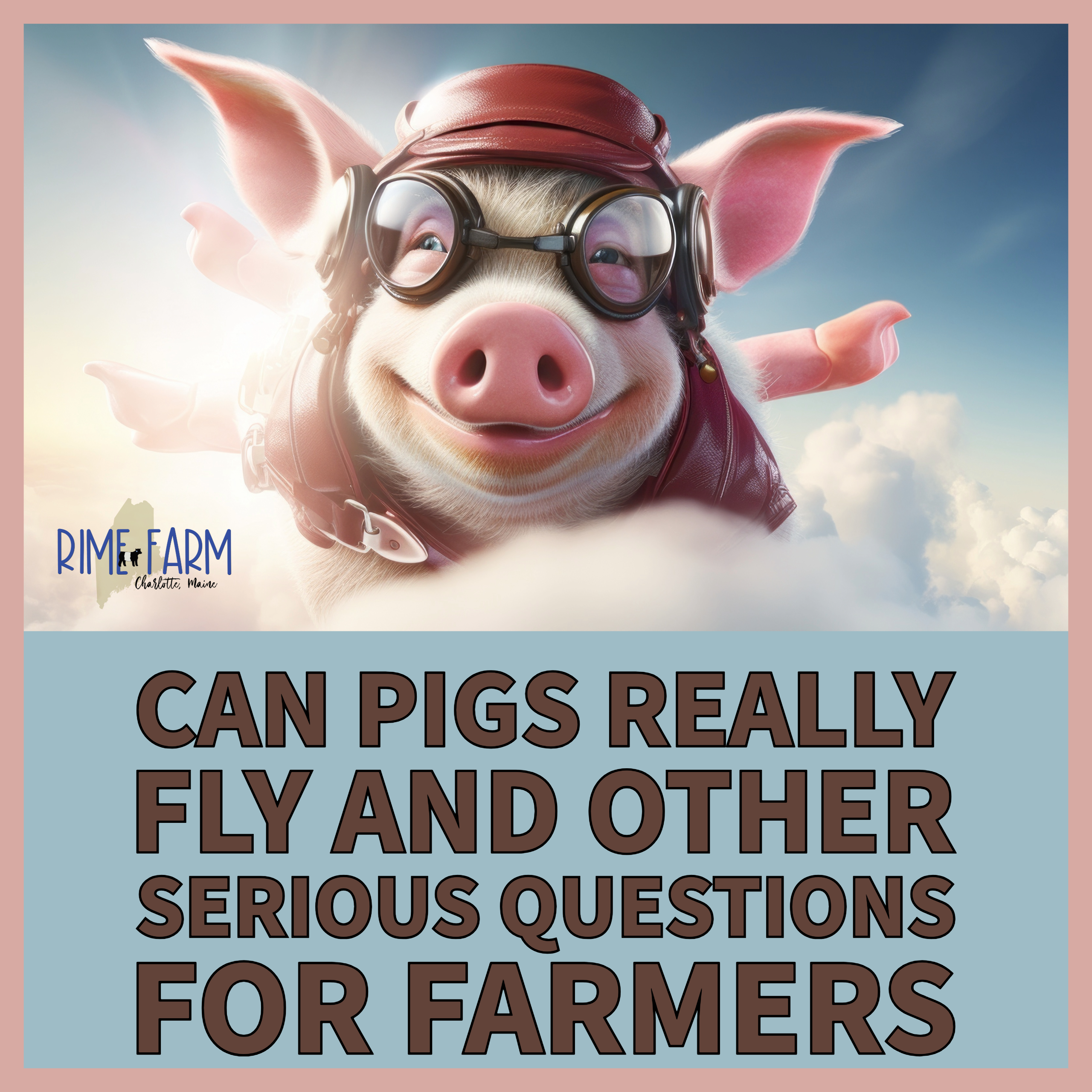 Can Pigs Fly and Other Serious Questions for Farmers
