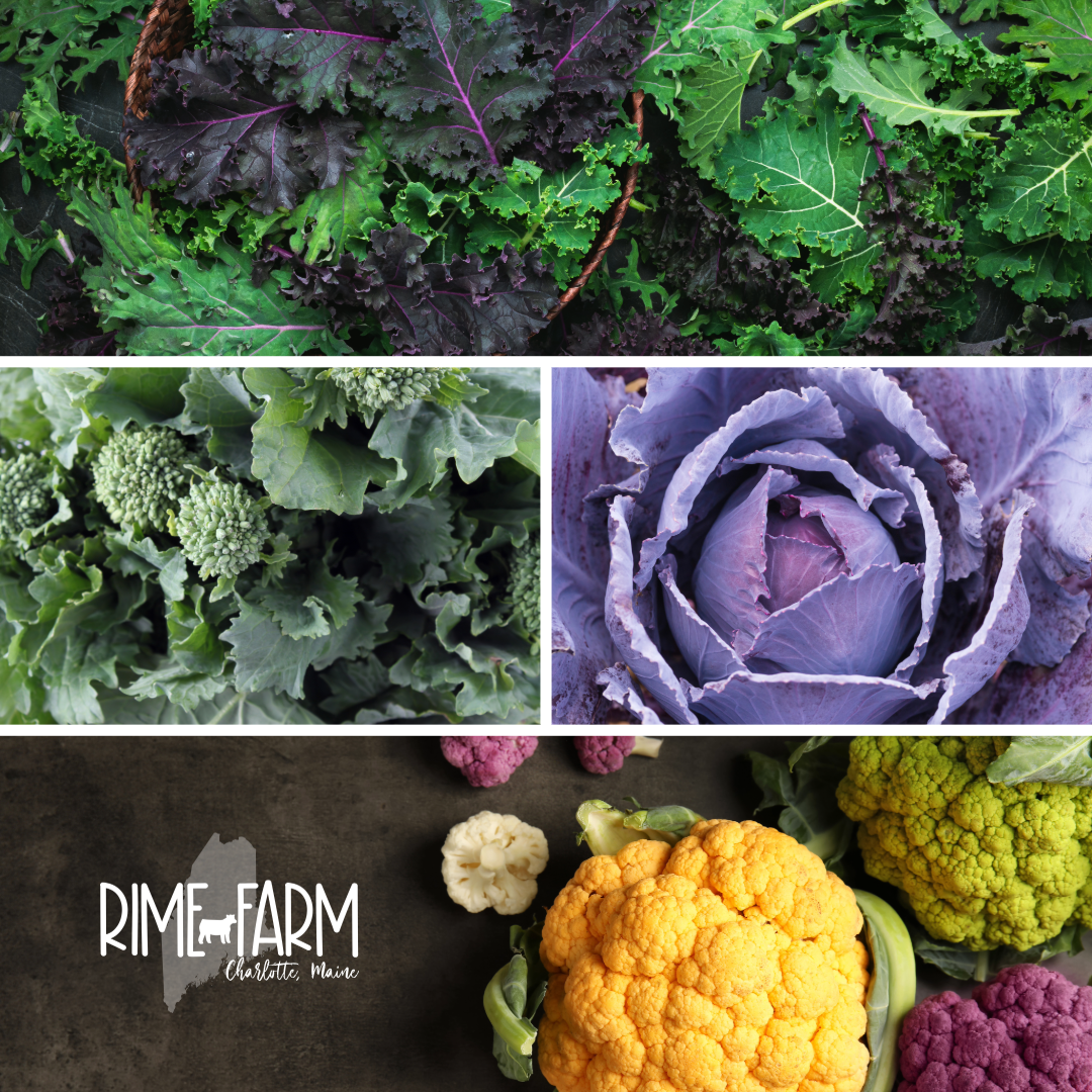 Understanding Vegetable Types: Nightshades, Brassicas, Alliums, and More Explained.