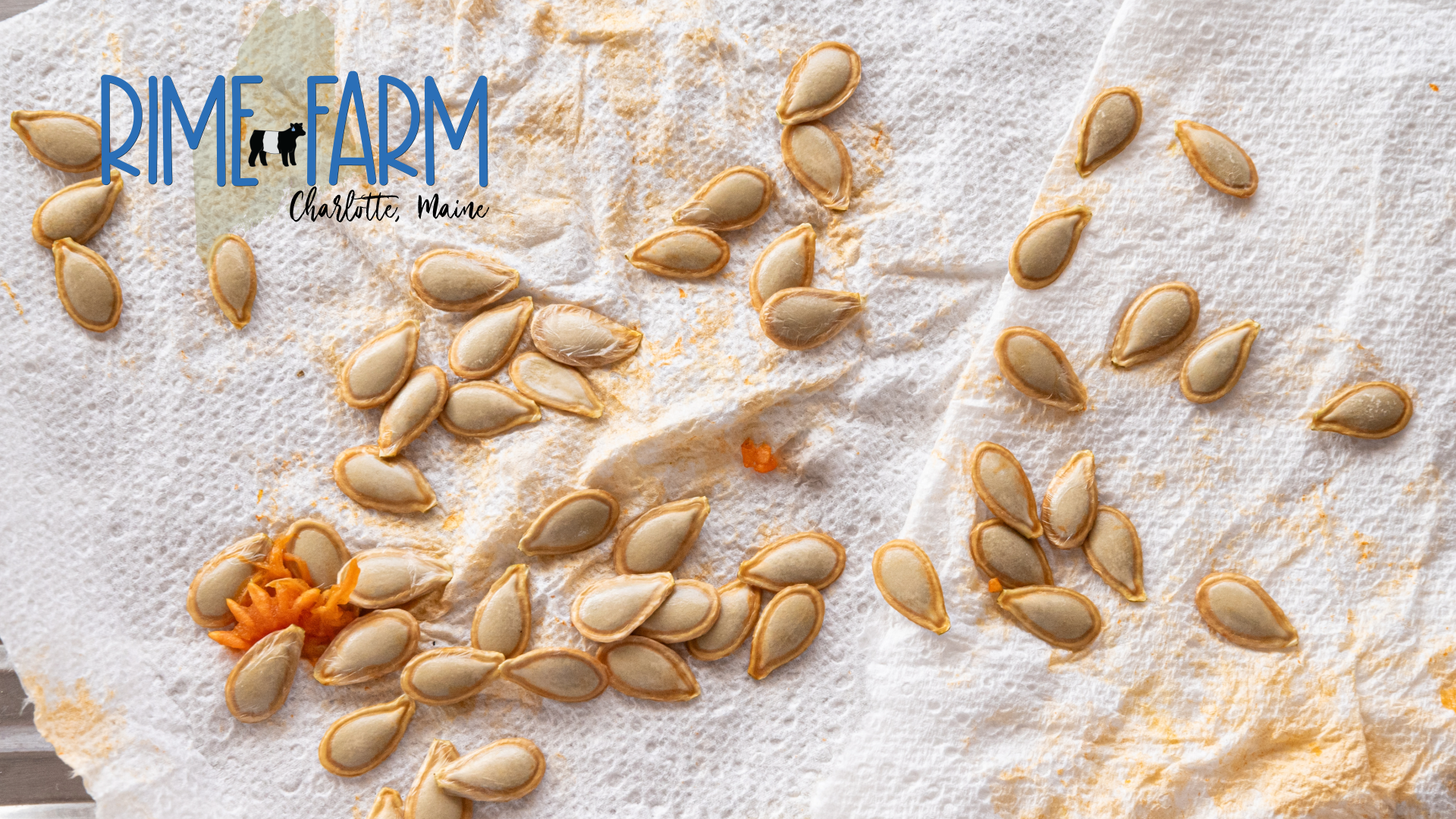 The Art and Science of Seed Saving